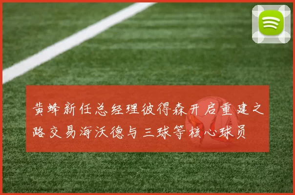 黄蜂新任总经理彼得森开启重建之路交易海沃德与三球等核心球员